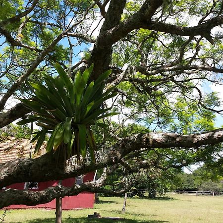 Aldeia Santuario Das Aves Tavares Kamer foto