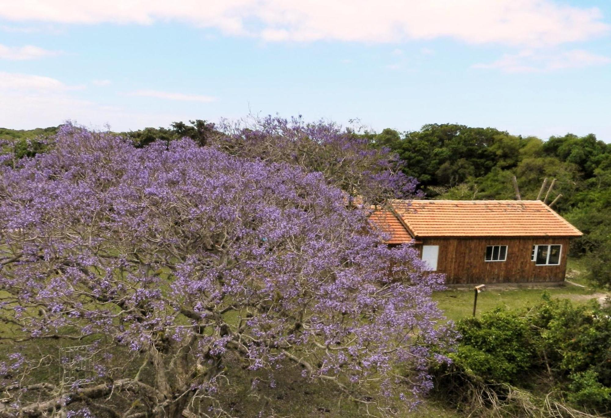 Aldeia Santuario Das Aves Tavares Kamer foto