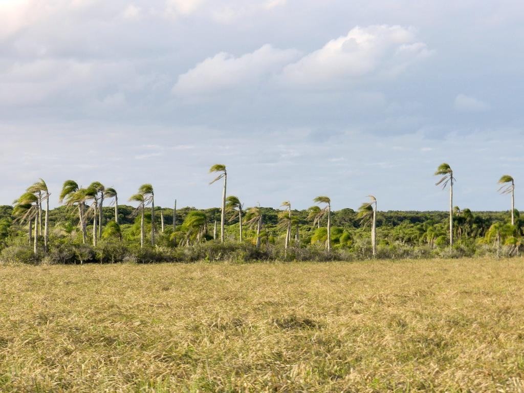 Aldeia Santuario Das Aves Tavares Buitenkant foto