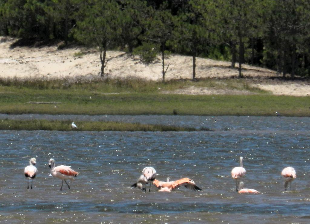 Aldeia Santuario Das Aves Tavares Buitenkant foto