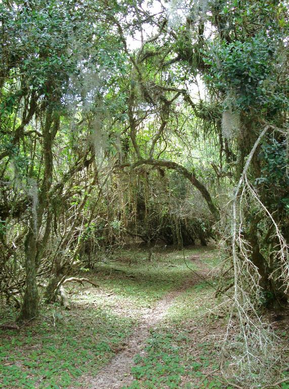 Aldeia Santuario Das Aves Tavares Buitenkant foto