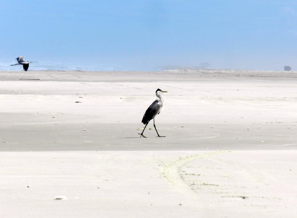 Aldeia Santuario Das Aves Tavares Buitenkant foto