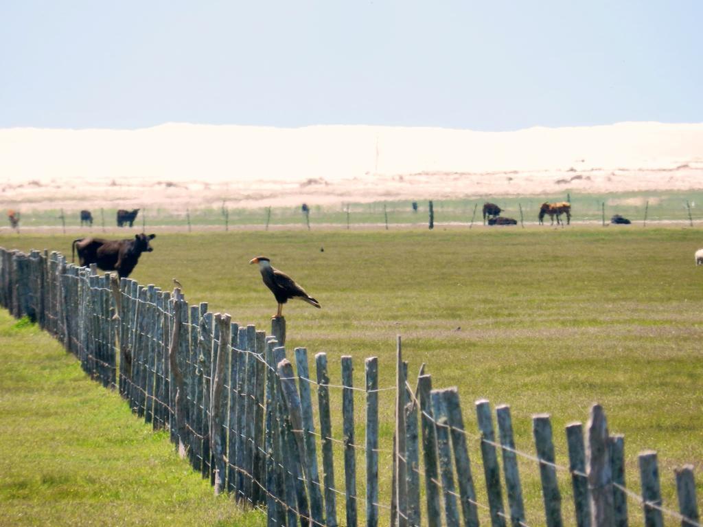 Aldeia Santuario Das Aves Tavares Buitenkant foto