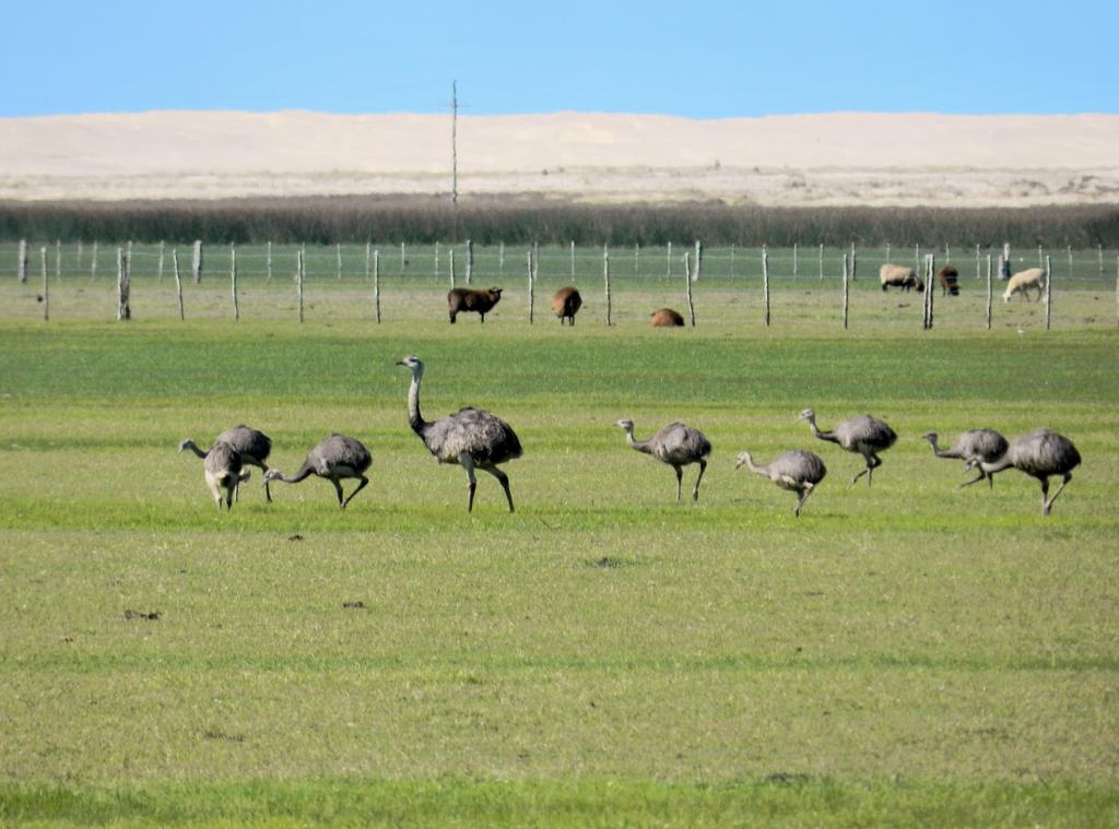 Aldeia Santuario Das Aves Tavares Buitenkant foto