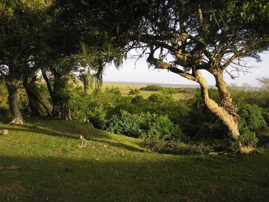 Aldeia Santuario Das Aves Tavares Buitenkant foto